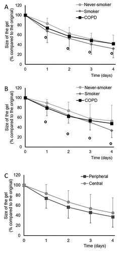 Figure 4. Collagen gel contraction assay of cultured stromal cells derived from peripheral (A) or central (B) lung of never-smokers, healthy smokers or COPD patients and a comparison of all peripheral and central cells (C). In panels A and B, the standard deviations are shown as positive bars for never-smokers, negative bars for smokers and as open circles for COPD