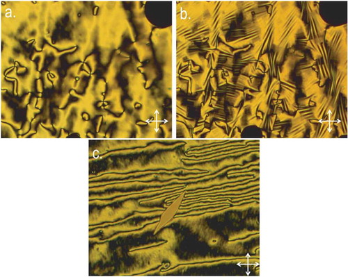 Figure 4. (Colour online) Photomicrographs (100×, crossed polarisers) of (a) the schlieren texture of the nematic phase of 7 at 71°C, (b) the same region showing the blocky texture of the twist-bend phase of 7 at 56°C and (c) the nematic phase of 8 (FFO9OCB) at 56°C, cooled at 10°C min−1 showing crystallisation of the sample when not rapidly cooled.