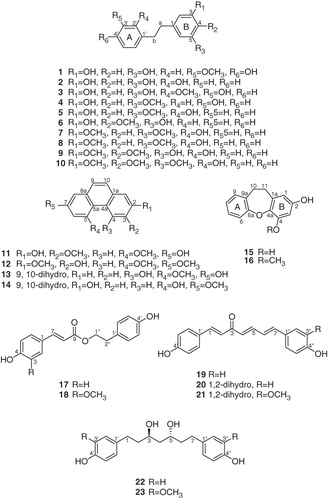 Figure 2. Structures of phenolic compounds isolated from D. opposita n-BuOH extract.