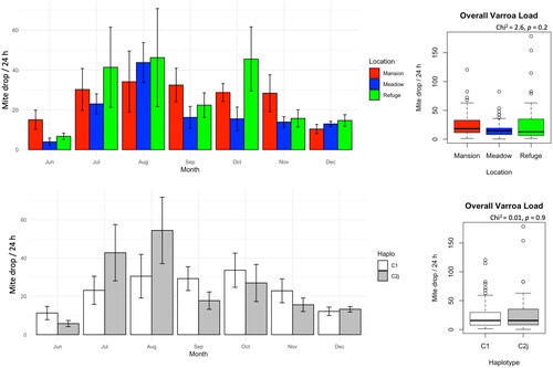 Figure 4. Varroa mite load in the studied colonies displayed longitudinally (month) and as overall averages per location and mtDNA haplotype. No significant differences were found at any time point.