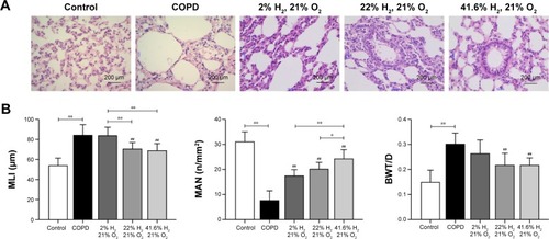 Figure 3 Effect of hydrogen on the pathologic lung changes in rats with COPD-like lung disease.