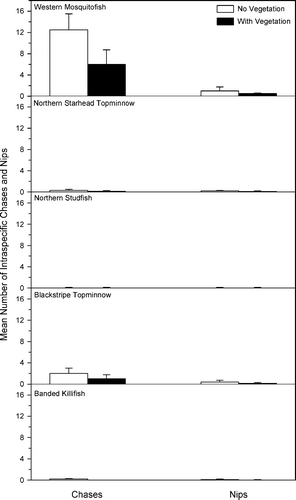 Figure 1. Mean number (SE) of intraspecific chases and nips per observation period for each species in control treatments with and without vegetation.