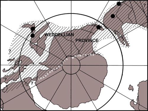 Figure 2. The Weddellian Biogeographic Province in Late Cretaceous times, based on Zinsmeister (Citation1979: figure 3). Black dots indicate localities from which specimens mentioned in the text were derived.
