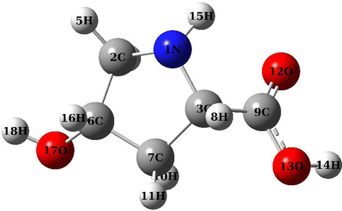 Figure 1. Global minimum structure of CHDP monomer obtained at B3LYP/6-31+G(d,p) level.