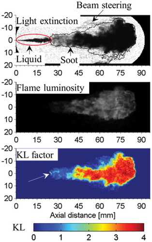 Figure 3. Image processing for light extinction image. In the light extinction image (topmost), the shadow inside of the red boundary line is the liquid fuel jet, and the black boundary line is detected from the flame luminosity image (middle). The KL factor (bottom) is calculated from the light extinction image within the black boundary line. Experimental conditions: Injection pressure 800 bar, ambient temperature 823 K, gas density 26 kg/m3, 2.78 ms ASOI, nozzle N19.
