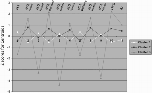 Figure 1. Illustrative representation of cluster profiles generated from the maternal characteristics.