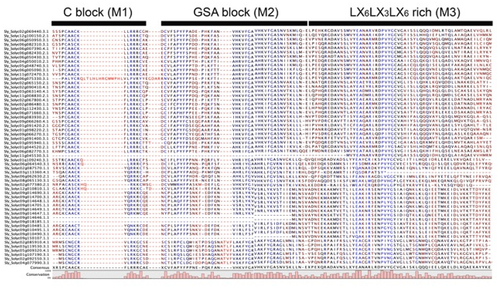 Figure 3. The conserved domains of the LBD gene family.