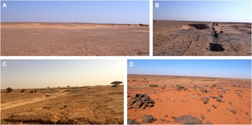 Figure 5. Some examples of the archaeological sites located in the White Nile area: (A) Mesolithic/Neolithic mound-site at al-Khiday (CitationSalvatori et al., 2011); (B) the same during the excavation; (C) view of the Palaeolithic site of al-Jamrab (CitationSpinapolice et al., 2018); (D) stone monuments.