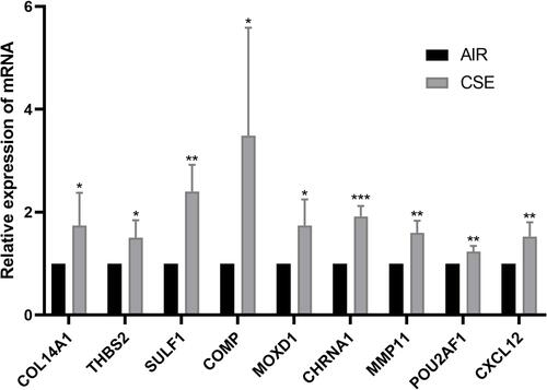 Figure 8 The mRNA expression level of the 9 key genes in the lung tissues of CS-exposed and control mice (n=6). *, p<0.05; **, p<0.01; ***, p<0.001.