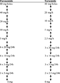 Figure 1 Flowchart for drug dosage if diuresis < 0.8 mL/kg/h or > 1.5 mL/kg/h every 2 h. If diuresis was in the range of 0.8–1.5 mL/kg/h, the dosage was kept.