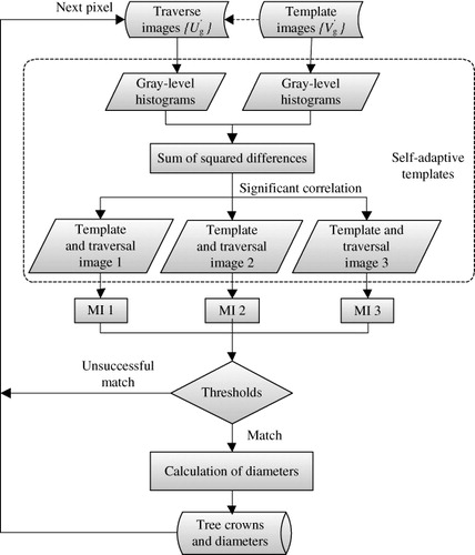 Figure 4. The process for SMI algorithm.