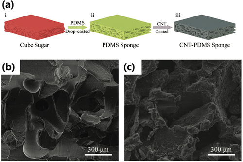 Figure 18. (a) fabrication process of the CNT – PDMS sponge. SEM images of the b) PDMS sponge and c) CNT – PDMS sponge (Song et al. Citation2017). Reprinted with permission from (Song et al. Citation2017); copyright 2017 John Wiley and sons.