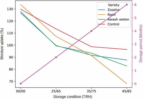 Figure 2. Moisture uptake curve of four varieties over six month storage periods at a constant storage temperature and relative humidity (00/00 = moisture uptake immediately after harvest).