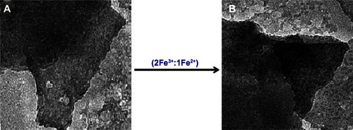 Figure 4 Transmission electron microscopy images of (A) pure talc and (B) talc/Fe3+–Fe2+ ion composites.Abbreviations: Fe2+, ferrous ion; Fe3+, ferric ion.