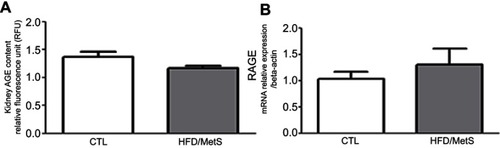 Figure 6 AGE deposition in the kidney assessed by fluorescent spectroscopy (A) and RAGE mRNA levels evaluated by RT-PCR in control (CTL) and HFD-induced MetS rats (HFD/MetS) for 20 weeks.
