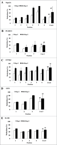 Figure 2. Pyrosequencing of promoter CpG islands in the promoters of 5 radioresistance-related genes in Hep-2 and RR-Hep-2 cells. The fractions of methylated CpG positions were compared between cell lines for (A) TOPO2A, (B) PLXDC2, (C) ETNK2, (D) GFI1 and (E) IL12B. The bars on the far right represent the means of all the methylated positions examined herein. The data presented represent a typical result or average values with standard deviations from 3 independent experiments.