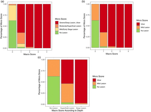 Figure 2. Distribution (percentage) of micro scores at given macro scores of hock burn in broilers. (a) Four-staged micro scores at five-staged macro scores (see footnote for definition of macro scores). (b) Micro scores simplified to no lesion, mild lesion and ulcer at five-staged macro scores. (c) Micro scores simplified to no lesion, mild lesion and ulcer at macro scores simplified to visually identified healthy hock (no lesion), superficial lesion and deep lesion. Lesions were considered deep when a separation of the epidermal layers or a loss of epidermal substance was macroscopically visible; superficial lesions were discolourations and lesions in which the epidermis was not visually separated. Note: Macro score 0 = no lesion, macro score 1 = superficial, attached (single) lesion or several single superficial or deep lesions ≤0.5 cm in diameter, macro score 2 = deep lesion >0.5 cm to ≤1 cm or superficial lesion >0.5 cm in diameter, macro score 3 = deep lesion >1.0 cm in diameter, macro score 4 = whole hock extensively altered.