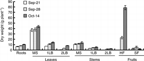 Figure 1  Changes in the dry weight of various organs of the cucumber. MS, main stem; 1LB, first lateral branch; 2LB, secondary lateral branch; HF, harvest fruits; SF, small fruits. Error bars denote the standard deviation (n = 3).