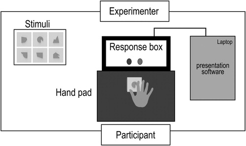 Figure 1. Schematic illustration of the apparatus used in the Experiment. The apparatus and stimuli were out of view of the participant during the trials.