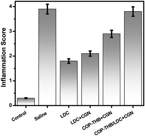 Figure 11. The degree of inflammation was evaluated on a scale of 0–5. Values are expressed as mean ± standard error of the mean. p < .05 versus the saline group (CGN-induced inflammation model injected with saline solution).