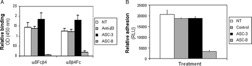 Figure 4.  Effect of β4-specific antibodies on α6β4-laminin adhesion. (A) Purified α6-Fcβ4 or α6β4-Fc proteins were left untreated (NT; white bars), preincubated with a β3-specific control antibody (Anti-β3; dashed bars) or β4-specific antibodies (ASC-3; black bars, ASC-8; grey bars) prior to plating on laminin-5–coated ELISA plates. Bound α6β4 proteins were detected using an HRP-conjugated anti-human antibody. (B) Colorectal tumor cells (SW480) were starved for 24 h in serum-free medium. Cells were left untreated (NT; white bars), treated with a β3-specific control antibody (Anti-β3; dashed bars) or with β4-specific antibodies (ASC-3; black bars, ASC-8; grey bars) and held in suspension for 1 h on ice prior to plating on laminin-5–coated plates for 1 h at 4°C. Relative adhesion was measured using a luciferase-based luminescent viability assay.
