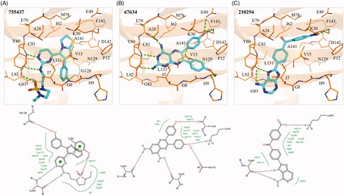 Figure 4. Interaction analysis of compounds in TAOK1. Docked poses of (A) compounds 1, (B) 2, and (C) 3 in TAOK1. Compounds are coloured blue, while TAOK1 is in orange. Dashed green lines represent hydrogen bonds. Residues are labelled as shown.