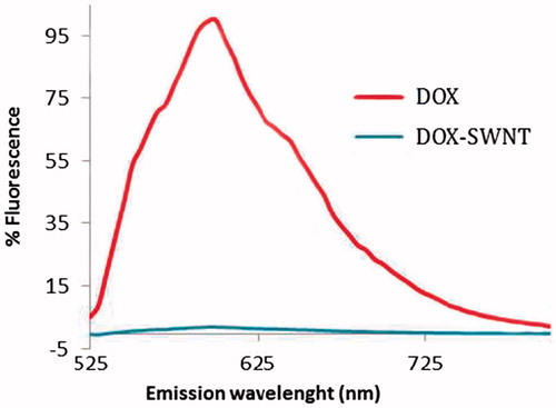 Figure 4. Fluorescence quenching of doxorubicin after loading on 50 μg.ml−1 SWNT at pH 8 (doxorubicin concentration is 250 μg.ml−1 in both samples). Significant fluorescence quenching was evident for doxorubicin bound to SWNT.