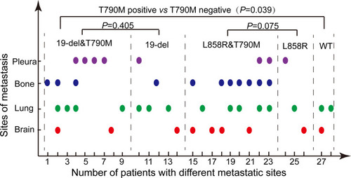 Figure 4 Corresponding metastatic sites of each patient. 1–9, patients with EGFR dual 19-del and T790M mutations; 10–14, patients with 19-del mutation; 15–23, patients with dual L858R and T790M mutations; 24–26, patients with L858R mutations; 27–28, patients with WT EGFR.