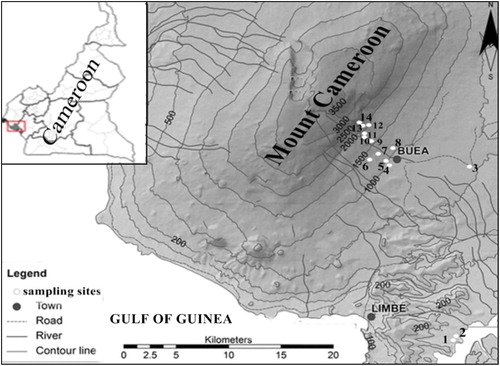 Figure 1 Map of Cameroon showing location of Mount Cameroon, and sites sampled for bats from November 2016 to July 2018.