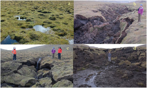 FIGURE 2. Retrogressive thaw slumps and turfs (hummocks) on Eboling Mountain in the upper reaches of Heihe River Basin (eastern branch) (a: turfs [hummocks]; b, c, d: thaw slumps).