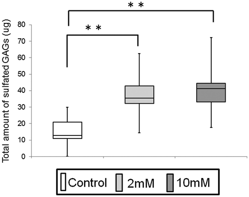 Fig. 5. Measurement of sulfated-glycosaminoglycans (s-GAG) in EpiLife® with 1.2 mM Ca2+ of 3DOMMs treated with 0 (control), 2 and 10 mM XPP. (n = 11).