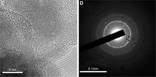 Figure 5 TEM images of (A–C) synthesized HA. (D) Electron diffraction pattern of HA.Abbreviations: TEM, transmission electron microscope; HA, hydroxyapatite.