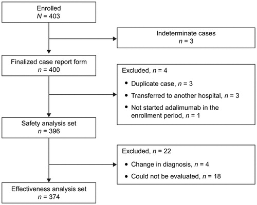 Figure 1. Patient disposition.