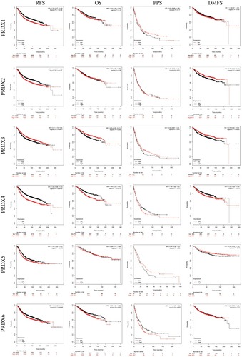 Figure 5 The prognostic value of mRNA level of PRDXs in breast cancer patients (Kaplan-Meier plotter).