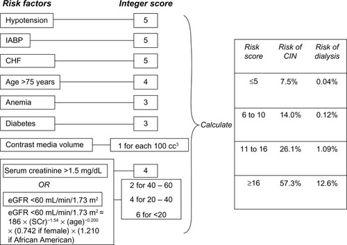 Figure 1 Scheme to define contrast-induced nephropathy (CIN) risk score.