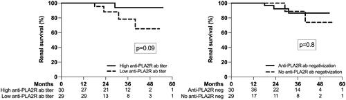 Figure 4. Renal survival according to anti-PLA2R antibodies titer at baseline (high versus low based on the median value) and the anti-PLA2R antibodies negativization at three months after diagnosis and treatment; the number of patients at risk is shown below the graph.