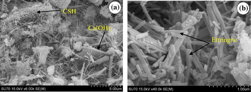Figure 4. Scanning electron microscope image of blended cement-ceramic powder hydrated for 1 day showing (a) CSH and Ca(OH)2 and (b) Ettringite.