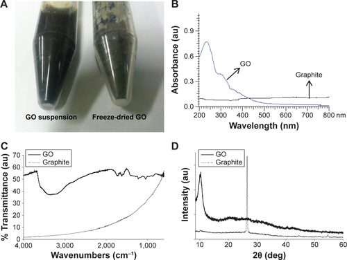 Figure S1 Characterization of the prepared GO.Notes: (A) Digital image of GO in suspension and in a freeze-dried form. UV spectra (B), FTIR spectroscopy (C) and XRD analyses (D) of graphite and GO.Abbreviations: FTIR, Fourier transform infrared; GO, graphene oxide; au, arbitrary unit; UV, ultraviolet; XRD, X-ray diffraction.
