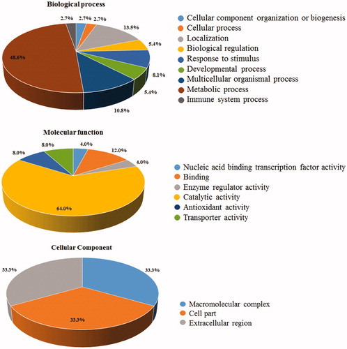 Figure 3. Gene Ontology (GO) annotation of identified proteins. The graphs show the percentages of corresponding GO terms to the 25 differentially represented components. The identified proteins were clustered according to three different criteria: cellular component, biological process, and molecular function.