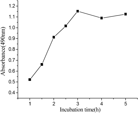 Figure 4. Optimisation of incubation time about coated antigen and antibody. The ELISA was performed in different times, ranging from 1 to 4 hour at 37°C. Each point represents the mean±SD (standard deviation, n=3).