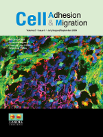 Cover image for Cell Adhesion & Migration, Volume 2, Issue 3, 2008