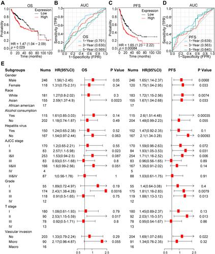 Figure 2 The clinical value of QSER1. (A) Overall survival analysis of QSER1 in the TCGA-LIHC cohort. (B) AUC curve evaluating the diagnostic efficacy of QSER1 in identifying the overall survival outcome of HCC. (C) Progression-free survival analysis of QSER1 in the TCGA-LIHC cohort. (D) AUC curve evaluates the diagnostic efficacy of QSER1 in identifying the overall recurrence of HCC. (E) Analysis of the role of QSER1 in the outcome events in different subgroups.