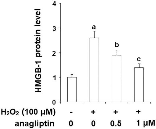 Figure 7. Anagliptin (0.5, 1 μM) protects against H2O2-induced HMGB-1 secretion in an AD cell model. N2a/Swe.D9 cells were stimulated with H2O2 (100 μM) with or without anagliptin (0.5, 1 μM) for 24 h. Secretion of HMGB-1 was measured by ELISA (a, b, c, p < .01 vs. the previous group).