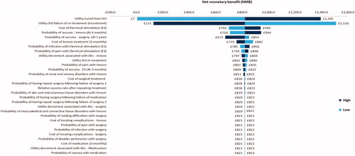 Figure 5. Impact of changing the input parameters by ±25% on the estimated Net Monetary Benefit (NMB): cure analysis.