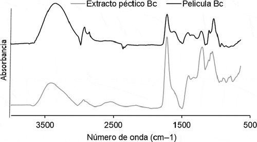 Figura 3. Espectros de FTIR de película y extracto péctico de bagazo de limón.Figure 3. Lime bagasse film and pectic extract FTIR spectra.