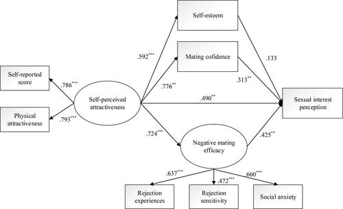 Figure 1. The mediating effects of self-esteem, mating confidence and negative mating efficacy on the relationship between self-perceived attractiveness and sexual interest perception.