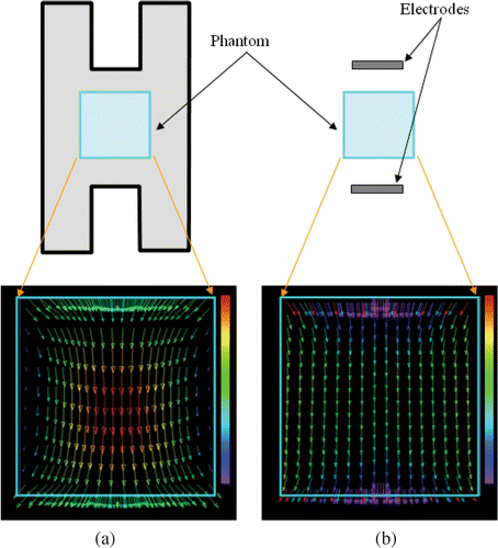 Figure 3. Outline of electric field distributions in (a) reentrant cavity and (b) RF capacitive heating system.