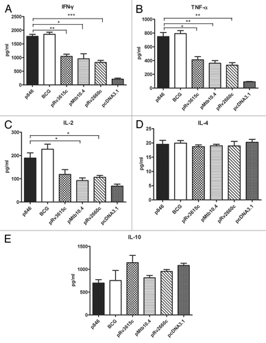 Figure 5. The enhancement of Th1 immune response by p846 immunization. Two weeks after the last immunization, splenocytes of the mice immunized with different vaccines were cultured and stimulated with inactivated H37Rv proteins (10μg/ml) for 72 h, and the Th1 cytokines (A) IFN-γ, (B) TNF-α, (C) IL-2, and the Th2 cytokines (D) IL-4, (E) IL-10 in the culture supernatant were measured by ELISA.