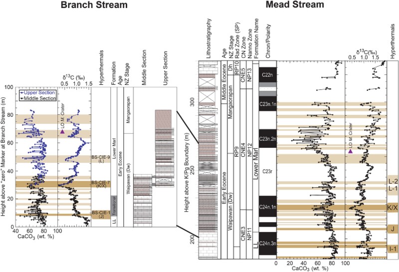 Figure 9 Records of carbonate content and bulk carbonate δ13C at Branch and Mead streams plotted against stratigraphic height at both locations. For Mead Stream, formation names, lithology and biostratigraphy are derived from Hollis et al. (Citation2005a), with minor adjustments (Slotnick et al. Citation2012). Carbonate content and δ13C data for Mead Steam are from Slotnick et al. (Citation2012) with some additional samples (Slotnick et al. Citation2014). Paleomagnetic data come from Dallanave et al. (Citation2014). Dark tan intervals represent prominent CIEs found in deep-sea records, whereas light tan intervals represent additional CIEs identified at Branch and Mead streams. Because Mead Stream has a well-refined stratigraphy now grounded with polarity chrons, profile and tie points using distinct changes in δ13C can be used to establish an age model at Branch Stream (Table 2).