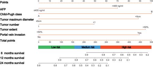 Figure 1 Nomogram for predicting survival of patients with HCC after DEB-TACE. Each category of the prognostic variables is assigned a score on the Point scale. The sum of these scores is located on the Total point scale and a line is drawn downward to determine the specific probability of survival.